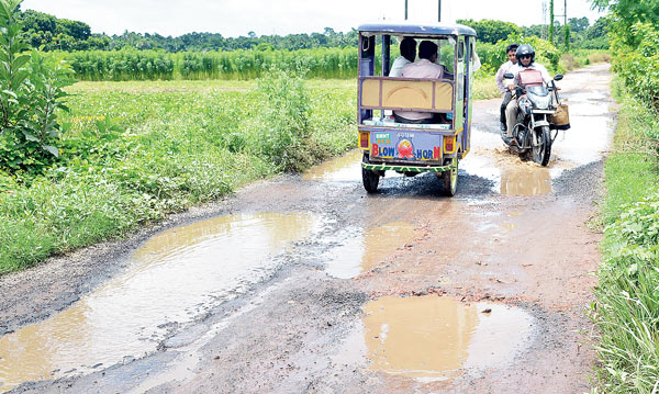 ঠাকুরনগর থেকে গোবরডাঙা পর্যন্ত রাস্তার হাল। ছবি: নির্মাল্য প্রামাণিক।