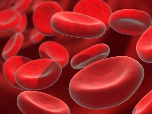 Japan Producing Artificial Blood Commercially-dgtl