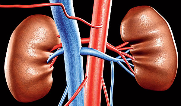 Patients have to rely on fate for dialysis