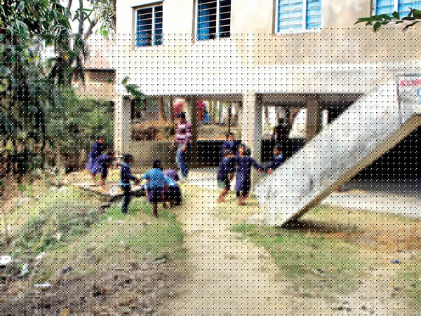 School suffer due to excessive snake-problem