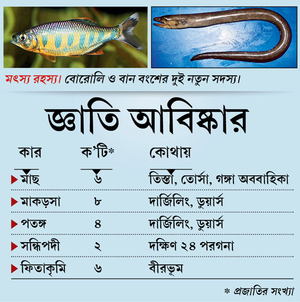 New fish breed at river