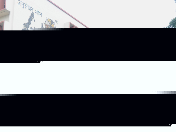 সৌরশক্তি চালিত এই ‘গাছ’ই বসানো হচ্ছে কেন্দ্রীয় বিজ্ঞান ও প্রযুক্তি মন্ত্রী হর্ষ বর্ধনের বাড়িতে। নিদস্ব চিত্র।