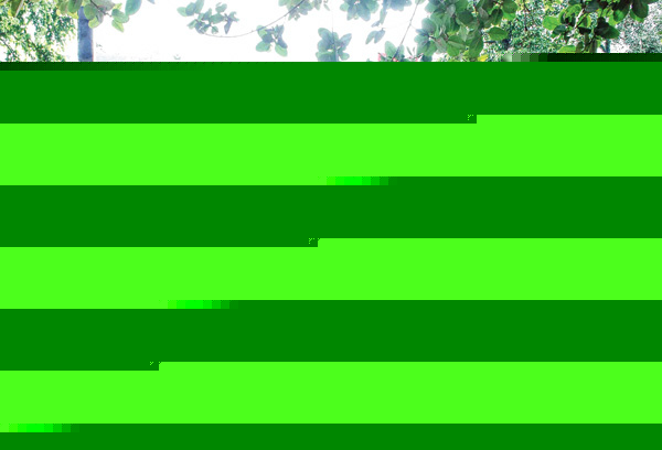 রাস্তায় নোংরা, নাক চাপো দুর্গন্ধে