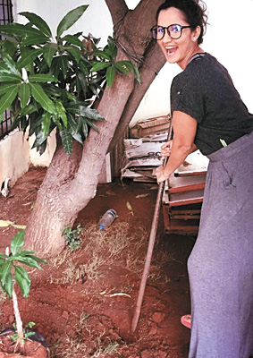 sania mirza planted tree