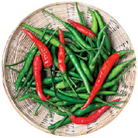 Rabibasoriyo Magazine