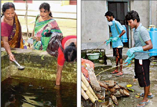 Central expert team will come to Dealt with Dengue 