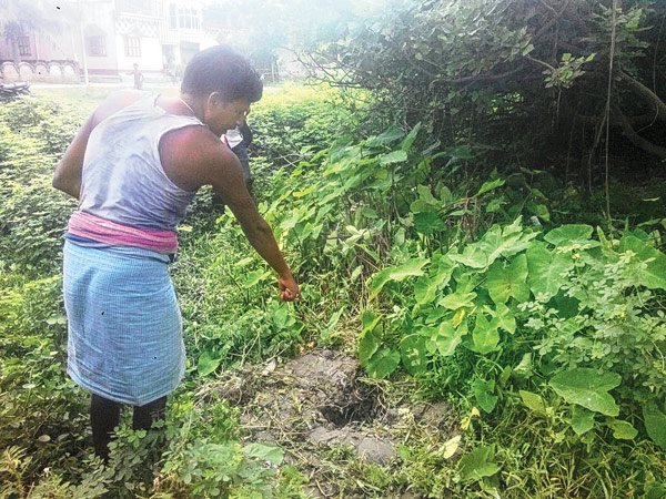 Police started collecting all the personal details of the domestic helper