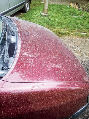 Factory polluting environment: worried people