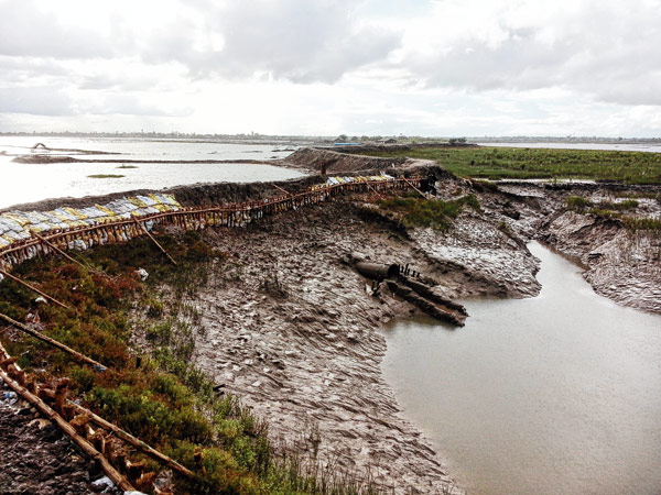 Illegal fisheries growing up with the help of leaders 