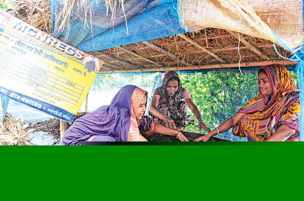 More productivity in new fertlizer