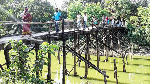 এখনও ভরসা বাঁশের সাঁকো। ছবি: দিলীপ নস্কর।