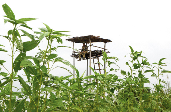 Watch tower now at Border