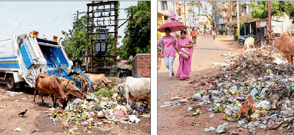 Compactor could not enter in narrow lane, garbage creates problem for locals  