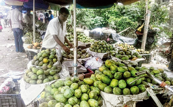 মালদহে আমের পসরা। — নিজস্ব চিত্র