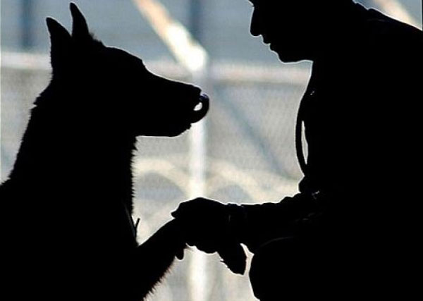 Priest arrested for sex with dogs dgtl