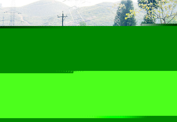 Indictment for benefit of Small tea garden owner 