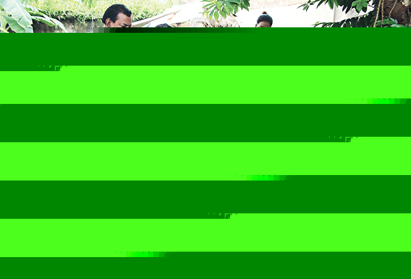 Dengue larvae found at patient's home 