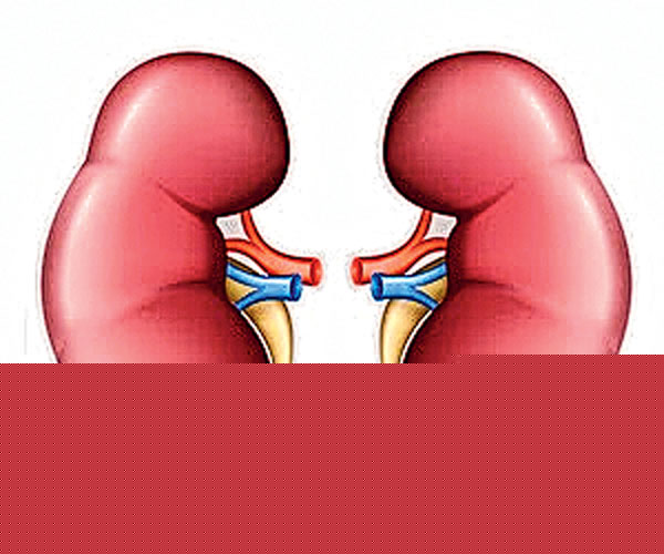 A setback Organ transplantation: Question rises on hospital's infrastructure