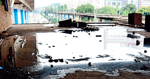 under construction flyovers are heaven for dengue virus