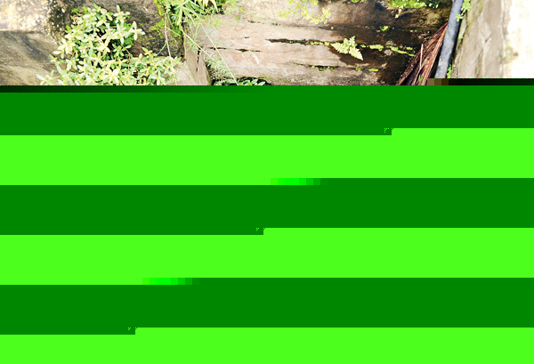 Holiday declined for Municipal workers to prevent Dengue spread