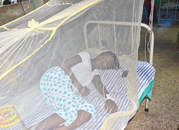 Kanthi faces dengue, young girl affected