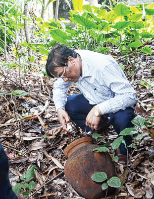 Dengue claims lives again