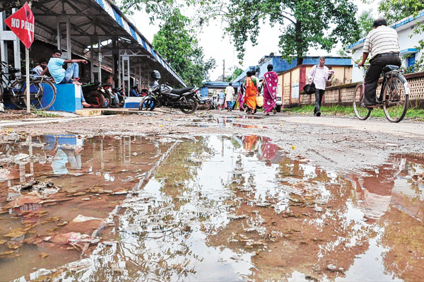 Constant rise of dengue virus