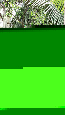 Son tried to save her mother But died