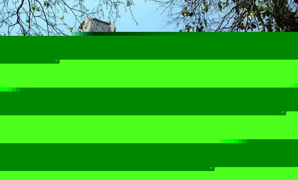 Price hikes but stock market does not lose hope