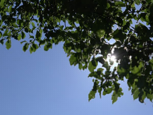 WB in Relief: Depression Changes way dgtl