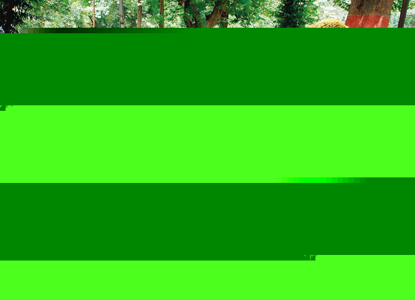 IIST carnival blends into city light