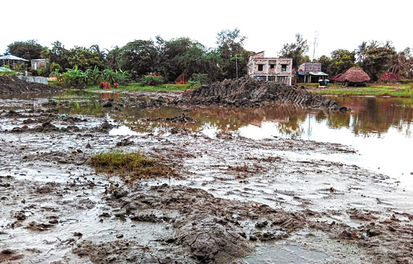 Initiative taken to build Fishing port at Sitarampur