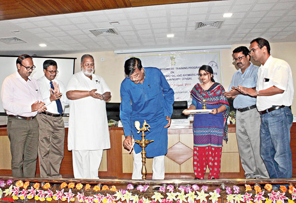 Initiative and agreement made for growth of aromatic and medicinal plant