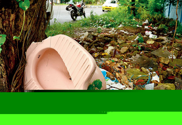 New Initiative taken by Mamata Banerjee to tackle Dengue 