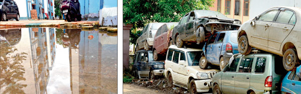 Dengue syndrome in salt lake