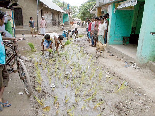 Villagers Protest by Rice seedlings on roads