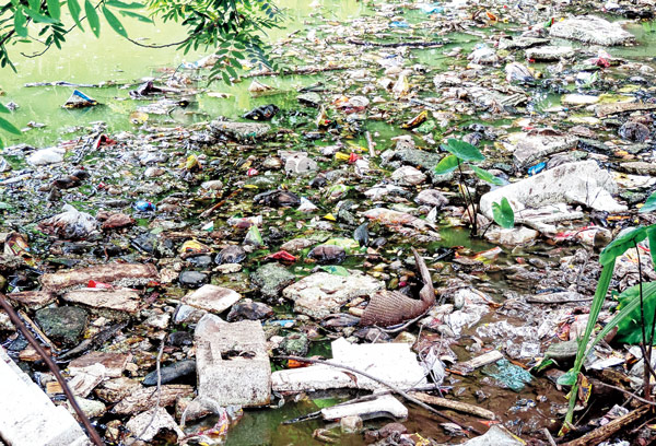 Rokibul died for Dengue, Doctor says 