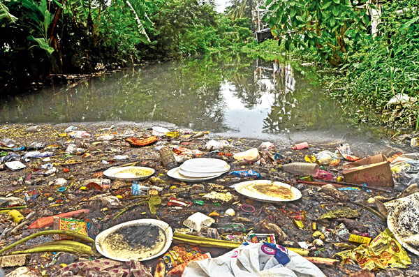 Dumdum, Salt Lake lacked behind in vector control program