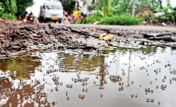 Killing mosquito campaign is yet to start in Bankura