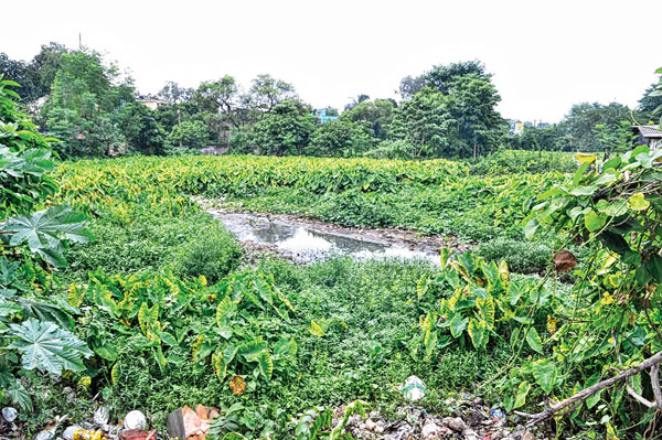 no awareness Programme in Ghatal, Dengue Spreading 