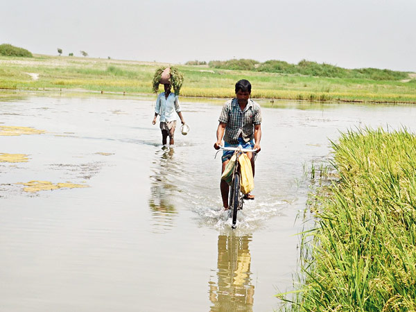 ‘Porob’ of two different countries: a mixed feeling for people
