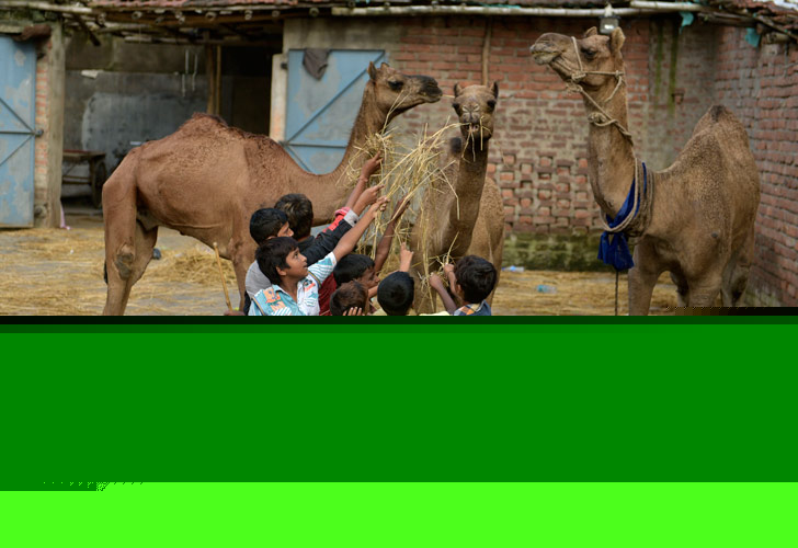 Photo: State glitters in preparation of Eid dgtl