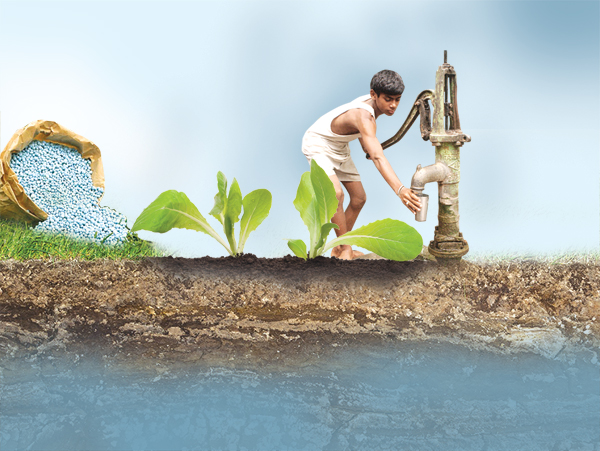 Nitrite diluted in blood after consuming excess amount of rich green vegetable