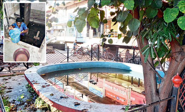 Dengue spreading again in Siliguri