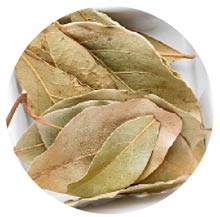 Bay-leaf