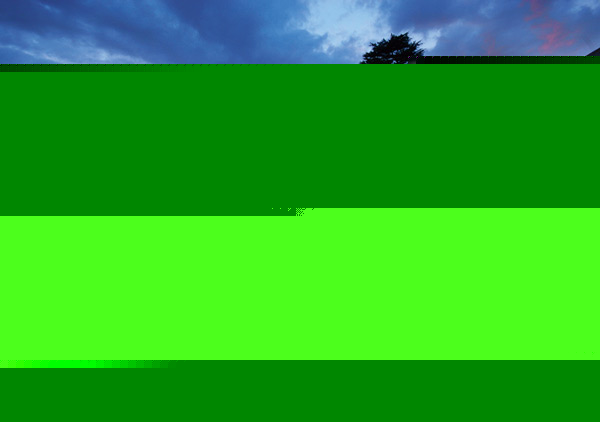 Story of a vagabond and a police