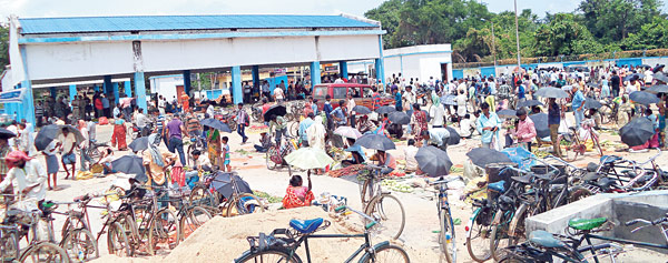 New scenario at Kisan Mandi