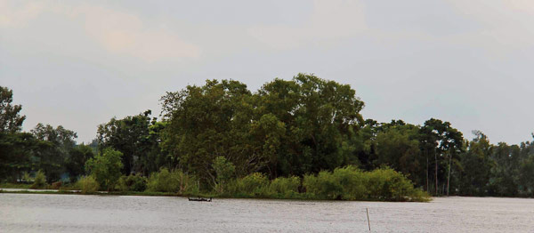 Central team get holds of accused for stealing pond