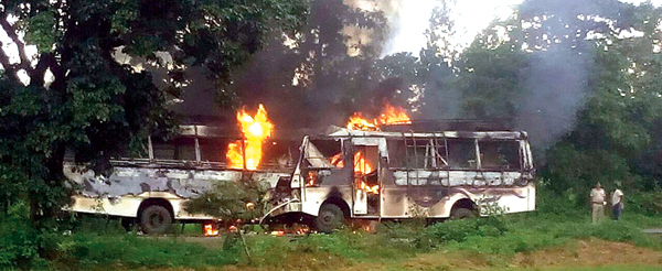 7 killed from bus collision 