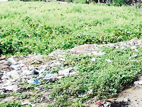 Illegal filling of pond, councilor accused